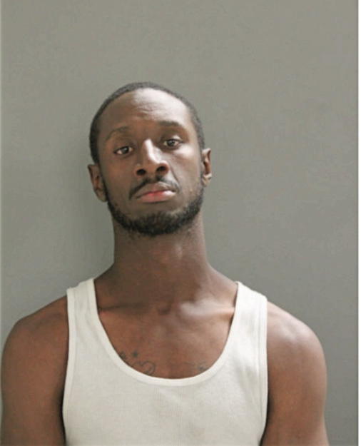 LEWIS G SIMS, Cook County, Illinois