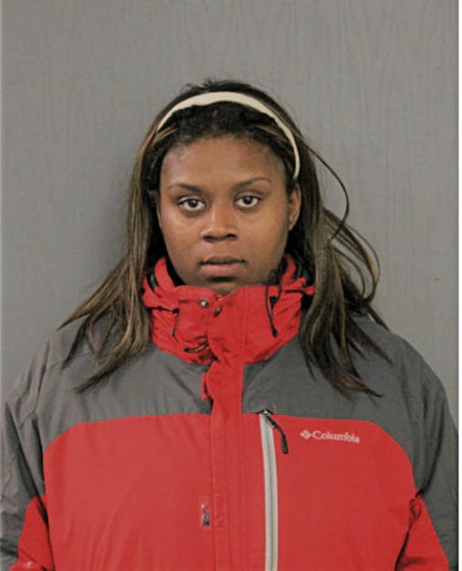DIANA K STRINGER, Cook County, Illinois