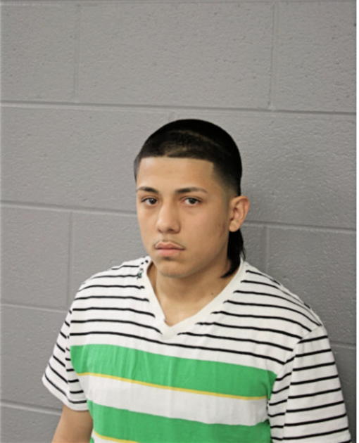 DAVID TORRES, Cook County, Illinois