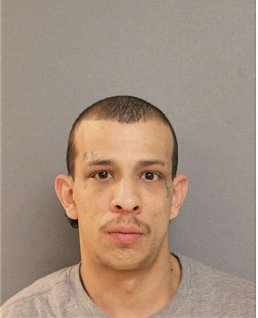 DIEGO J VARGAS, Cook County, Illinois