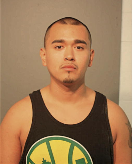 MARCO A ALVAREZ, Cook County, Illinois
