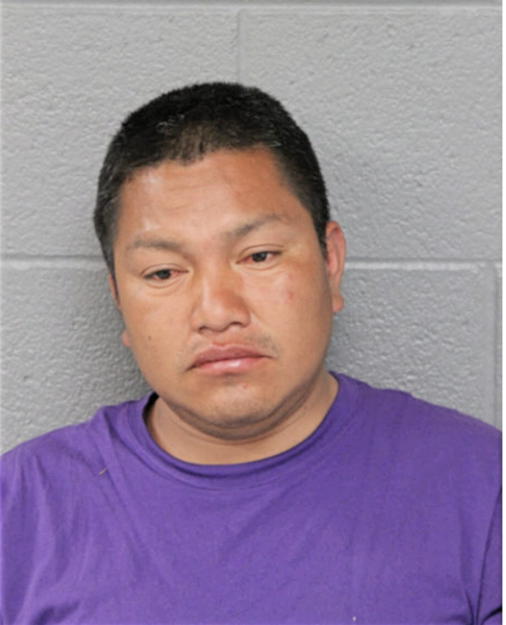 VICTORIA CLEMENTE, Cook County, Illinois