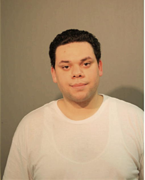 JOSEPH W DIAZ, Cook County, Illinois