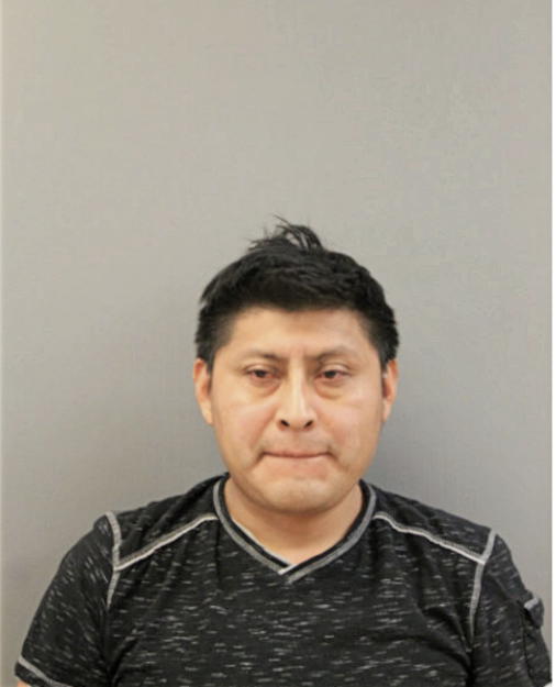 LUIS ALBERTO FERNANDEZ, Cook County, Illinois