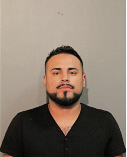OSCAR FLORES, Cook County, Illinois