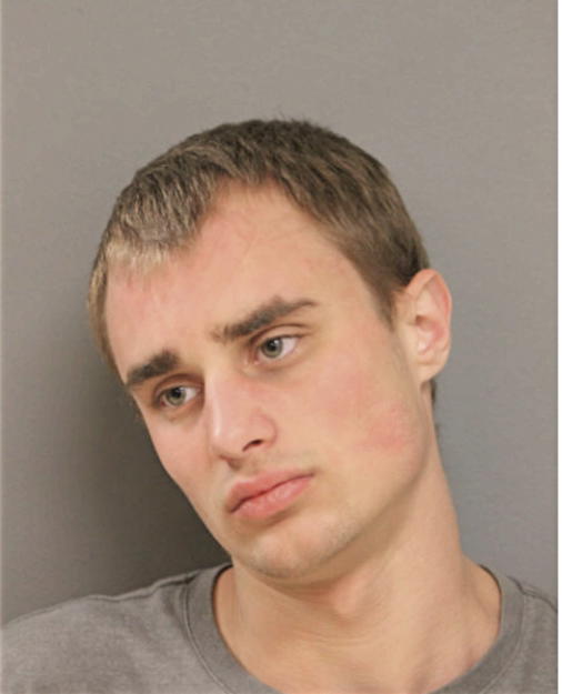 CARL A FREEMAN, Cook County, Illinois