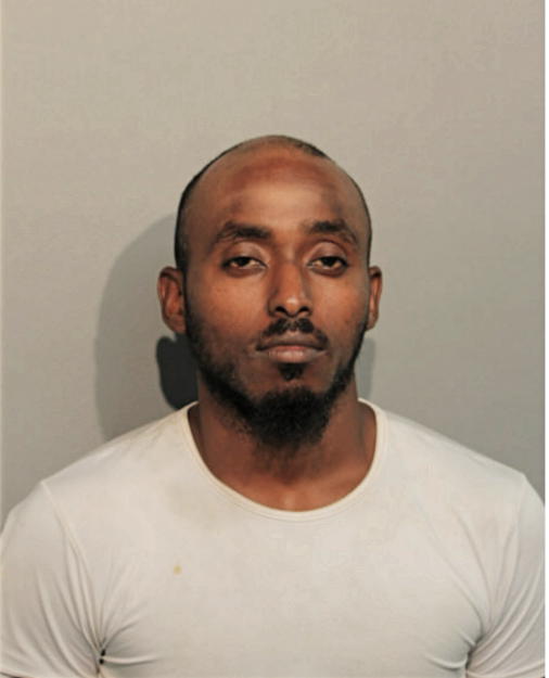 MERHAWI T GEBREMEDHIN, Cook County, Illinois