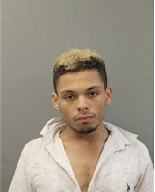 ANTHONY T GENGO, Cook County, Illinois