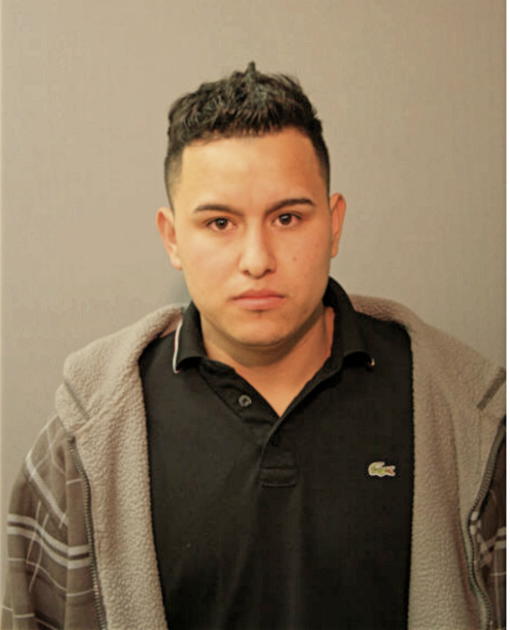 ESTEBAN GONZALEZ-MARTINEZ, Cook County, Illinois
