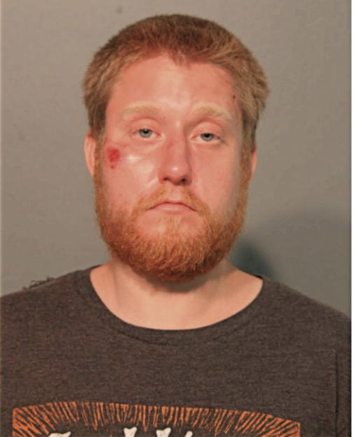 JUSTIN HOLLEY, Cook County, Illinois