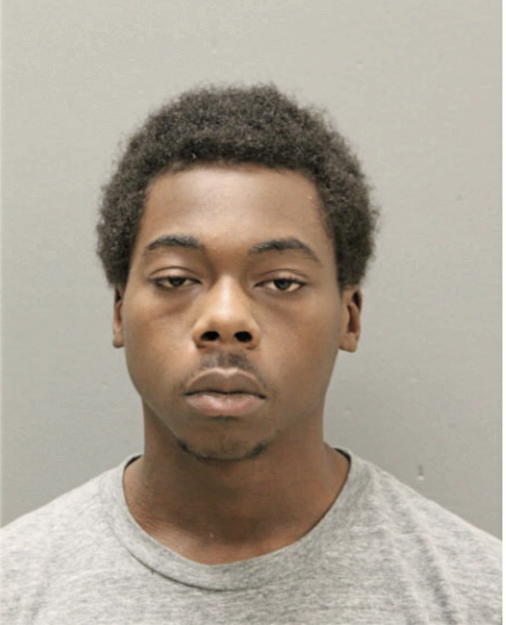ALLAN C JOHNSON, Cook County, Illinois