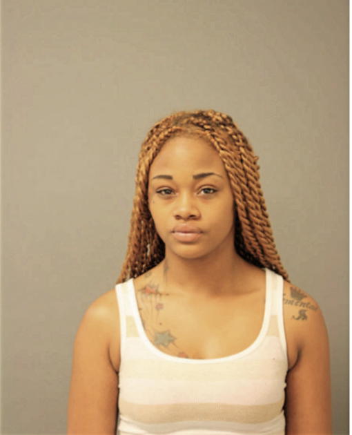 YASMINE S LEE, Cook County, Illinois
