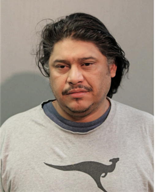 MARCO MEHEA, Cook County, Illinois