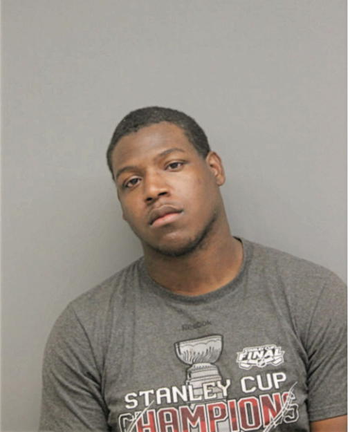 BRANDON D MORSE, Cook County, Illinois