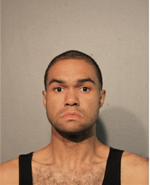 STEVEN C MOSS, Cook County, Illinois