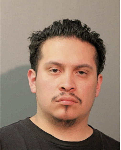 TONY A ROBLES, Cook County, Illinois