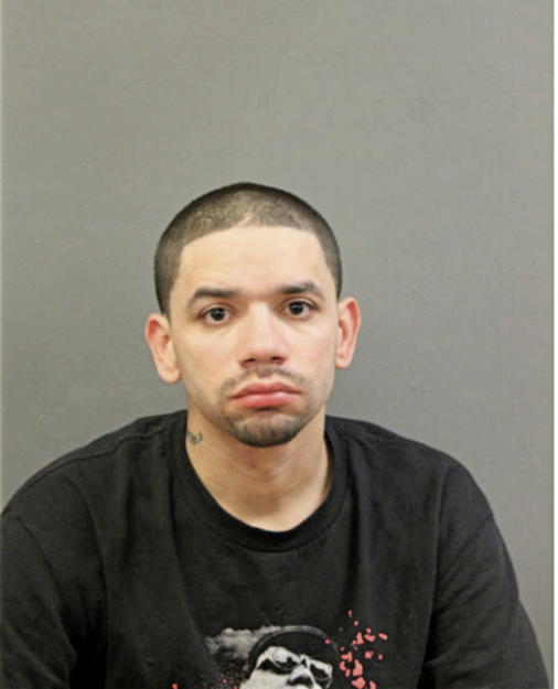 JUAN L RODRIGUEZ, Cook County, Illinois