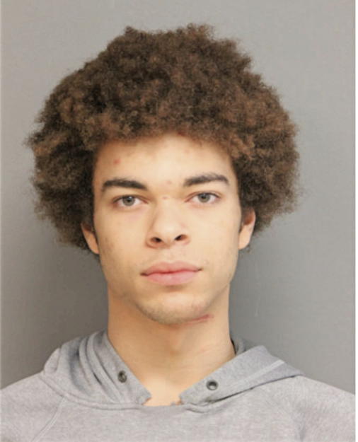 AARON J SNYDER, Cook County, Illinois