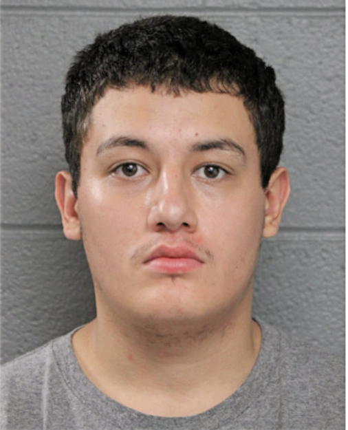 GUSTAVO I SOLIS, Cook County, Illinois