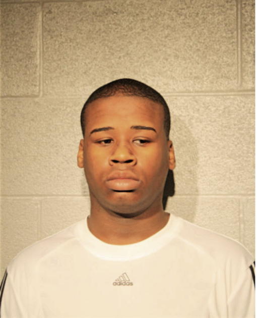 BRIAN A ULMER, Cook County, Illinois