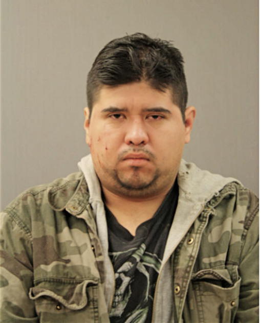 OSCAR VEGA, Cook County, Illinois