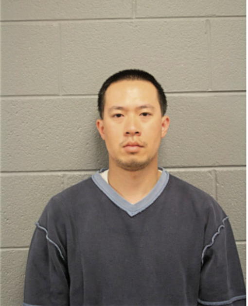 JOSEPH VU, Cook County, Illinois