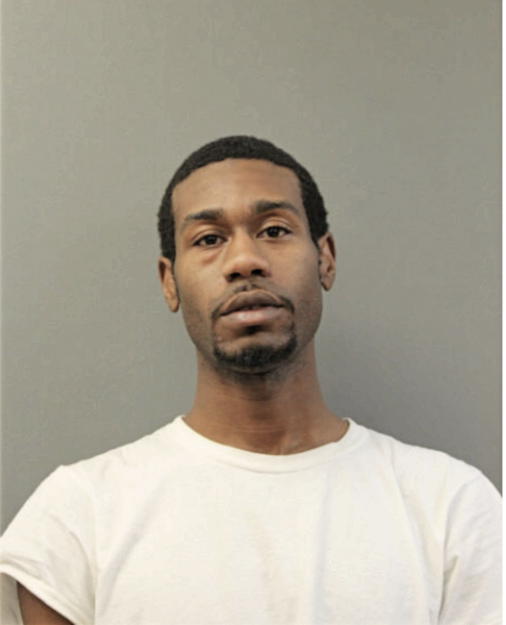 MICHAEL E ANDERSON, Cook County, Illinois