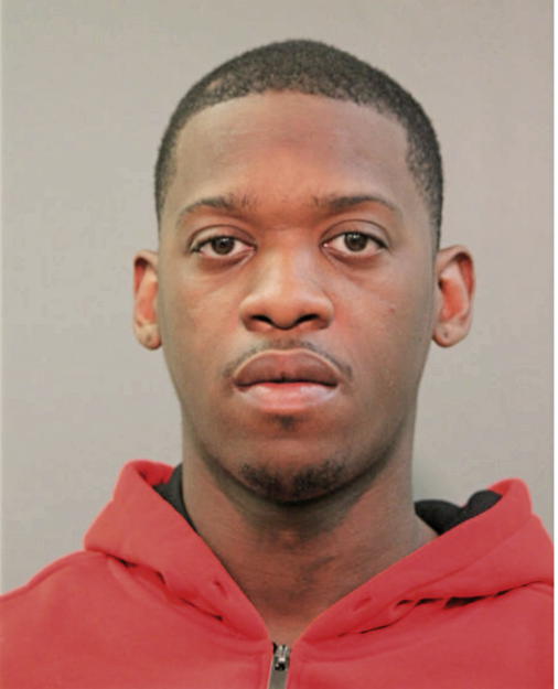 PAUL M BRIDGES, Cook County, Illinois