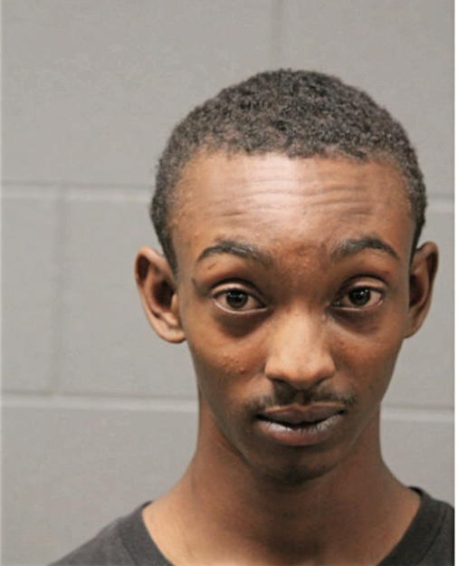 BRENDAN J BUIE, Cook County, Illinois