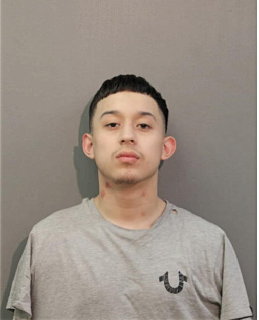 RICARDO JOSEPH CARDENAS, Cook County, Illinois