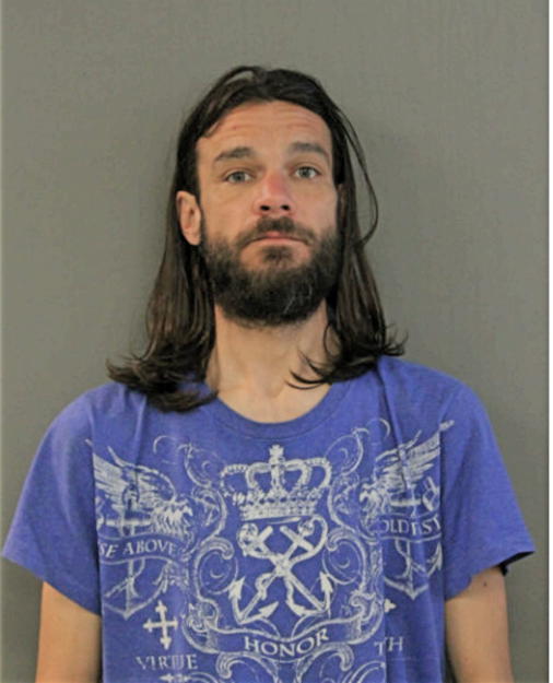 MICHAEL J CARLSON, Cook County, Illinois