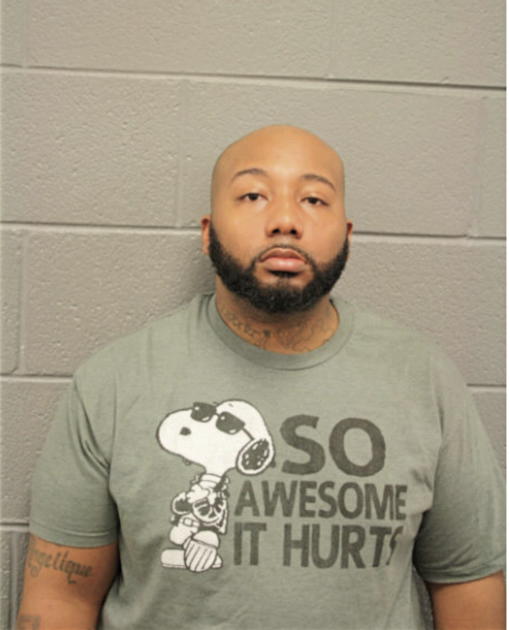 BRANDON R DIMMINS, Cook County, Illinois