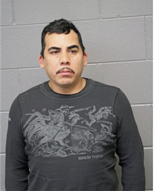 JUAN CARLOS ESCOGIDO, Cook County, Illinois