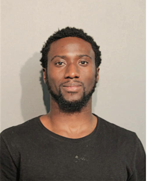 JOHNSON B FILANI, Cook County, Illinois