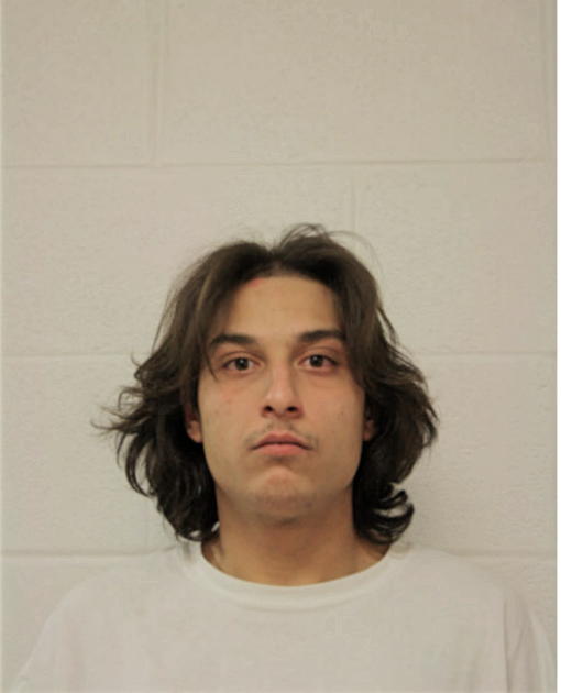 TONY M GABOR, Cook County, Illinois