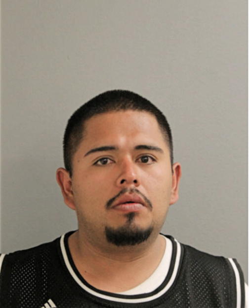 ANDRES GUZMAN, Cook County, Illinois