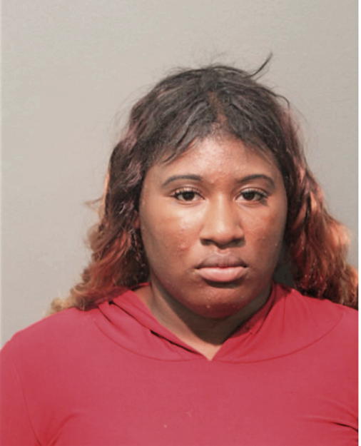 SHEANY LAMONTIL HAMILTON, Cook County, Illinois