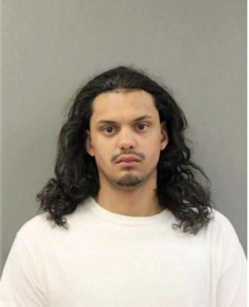 ALEX L HERNANDEZ, Cook County, Illinois