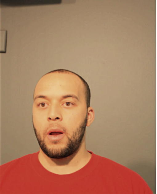 SEAN B LITTLE, Cook County, Illinois