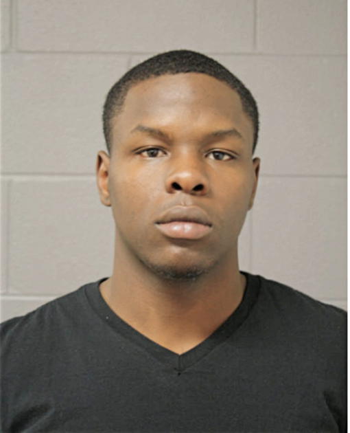 BERRY D NELSON, Cook County, Illinois