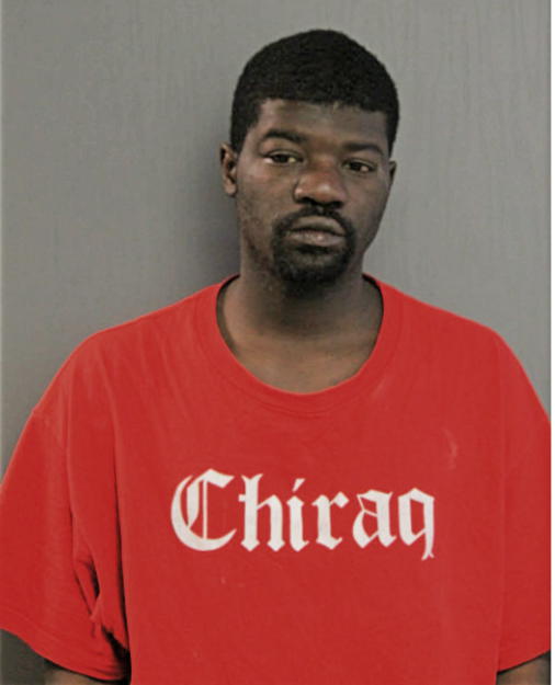 CHRISTOPHER L NORFLEET, Cook County, Illinois