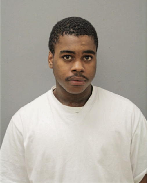BRUCE M O'NEAL, Cook County, Illinois