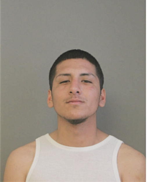 JOHN D PERALTA, Cook County, Illinois