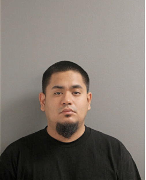 JOSE D PINEDA, Cook County, Illinois