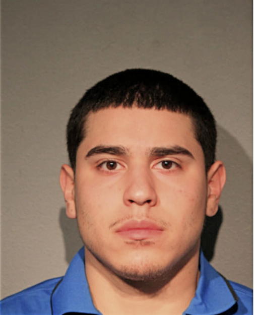 LUIS A QUINONES, Cook County, Illinois