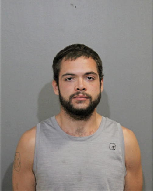 ANGEL G REYES-RIVERA, Cook County, Illinois