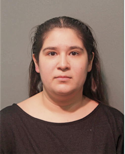 ANEL ROMANO, Cook County, Illinois