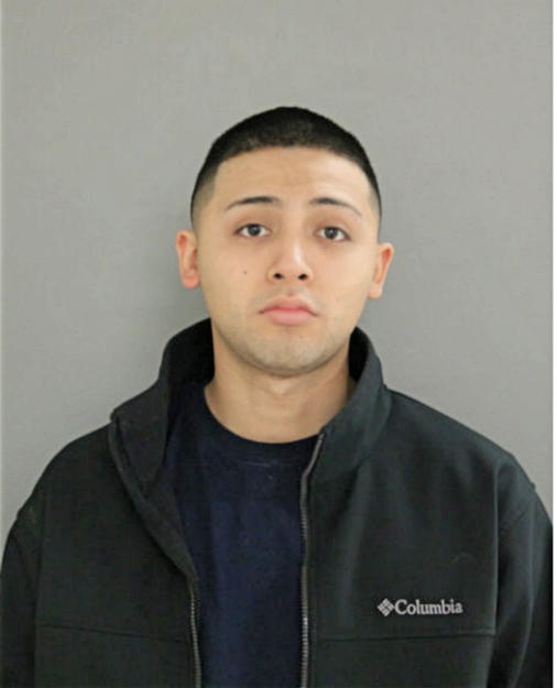 ORLANDO J RUIZ, Cook County, Illinois