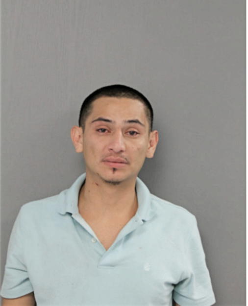 MIGUEL A SANCHEZ, Cook County, Illinois