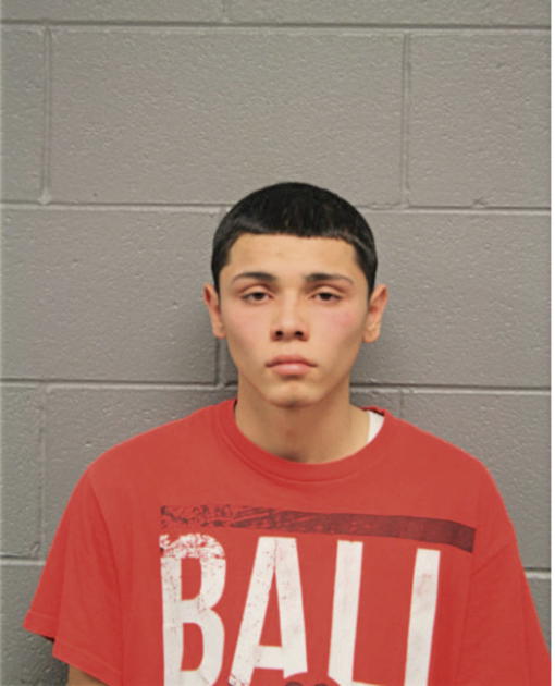 TYLER ALMAGUER, Cook County, Illinois